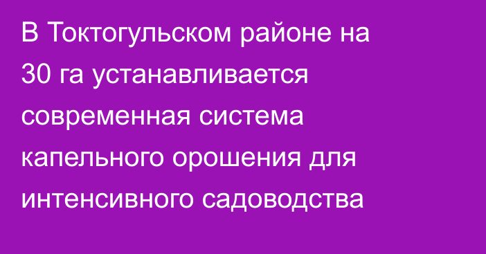 В Токтогульском районе на 30 га устанавливается современная система капельного орошения для интенсивного садоводства