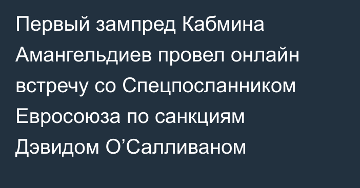 Первый зампред Кабмина Амангельдиев провел онлайн встречу со Спецпосланником Евросоюза по санкциям Дэвидом О’Салливаном 