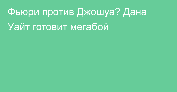 Фьюри против Джошуа? Дана Уайт готовит мегабой