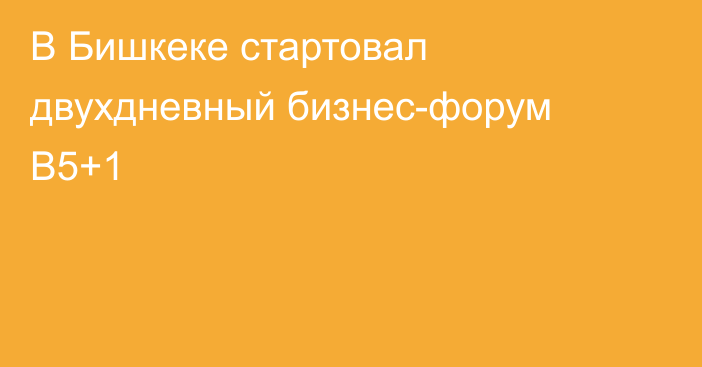 В Бишкеке стартовал двухдневный бизнес-форум B5+1