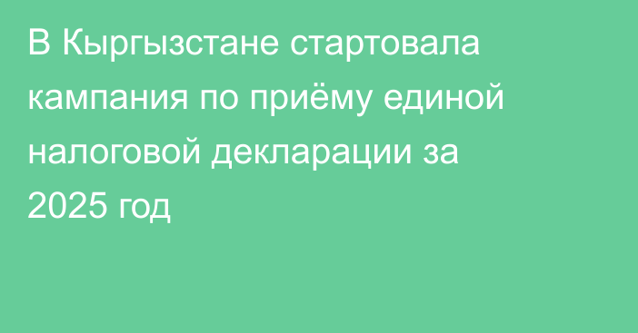 В Кыргызстане стартовала кампания по приёму единой налоговой декларации за 2025 год