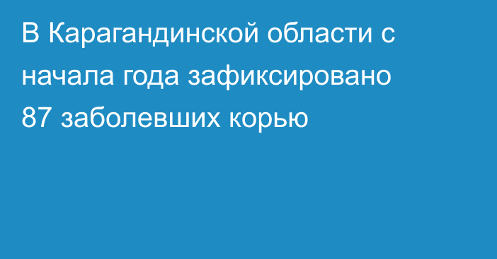 В Карагандинской области с начала года зафиксировано 87 заболевших корью