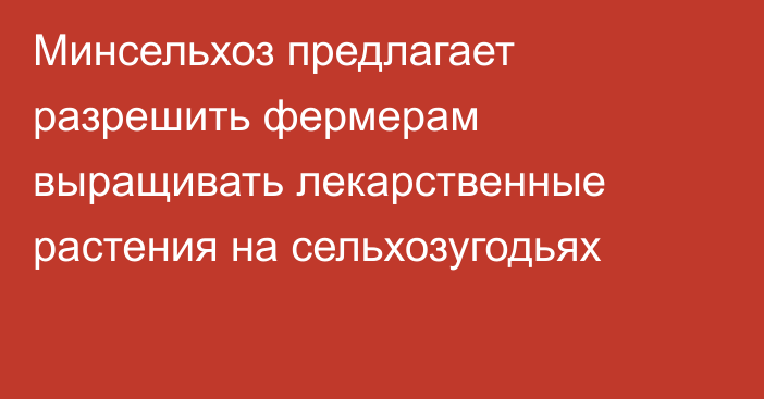 Минсельхоз предлагает разрешить фермерам выращивать лекарственные растения на сельхозугодьях 