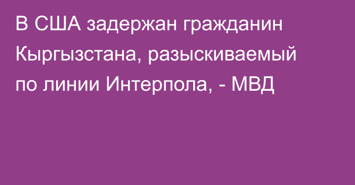 В США задержан гражданин Кыргызстана, разыскиваемый по линии Интерпола, - МВД