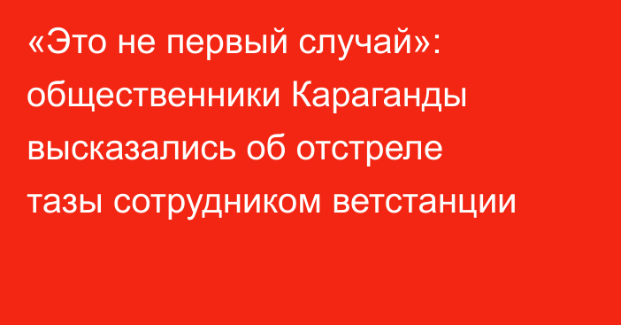 «Это не первый случай»: общественники Караганды высказались об отстреле тазы сотрудником ветстанции