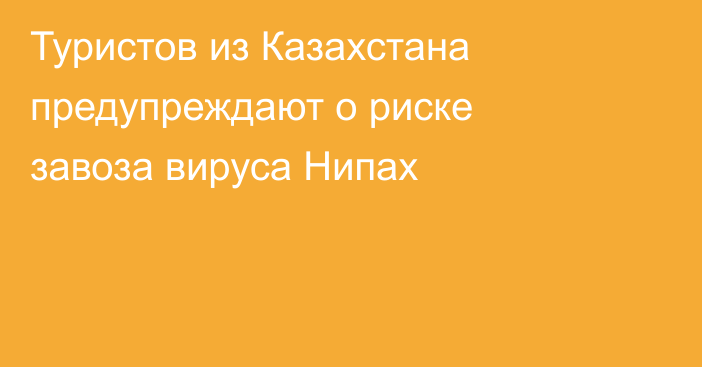 Туристов из Казахстана предупреждают о риске завоза вируса Нипах