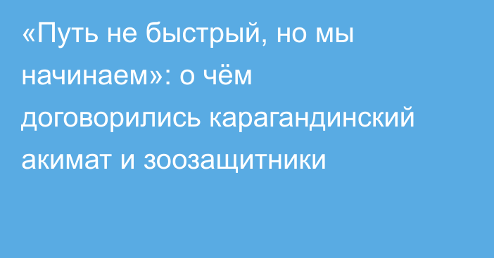 «Путь не быстрый, но мы начинаем»: о чём договорились карагандинский акимат и зоозащитники