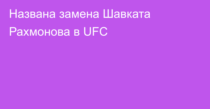 Названа замена Шавката Рахмонова в UFC