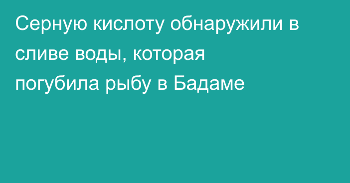 Серную кислоту обнаружили в сливе воды, которая погубила рыбу в Бадаме