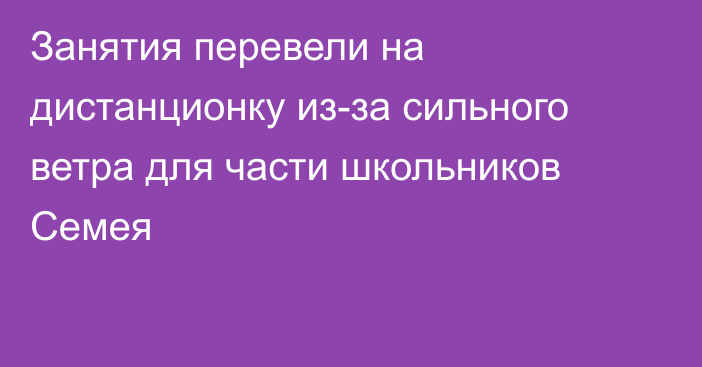 Занятия перевели на дистанционку из-за сильного ветра для части школьников Семея