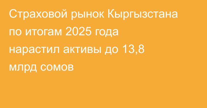 Страховой рынок Кыргызстана по итогам 2025 года нарастил активы до 13,8 млрд сомов