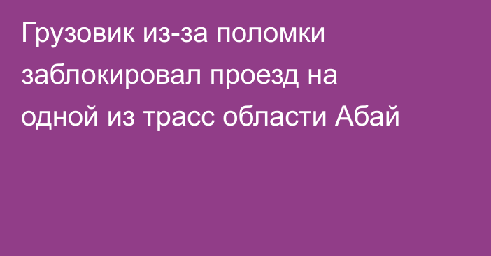 Грузовик из-за поломки заблокировал проезд на одной из трасс области Абай