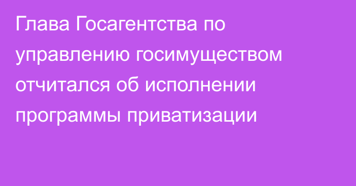 Глава Госагентства по управлению госимуществом отчитался об исполнении программы приватизации
