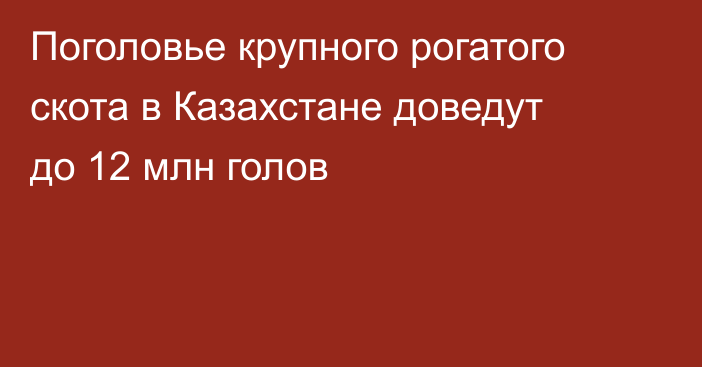 Поголовье крупного рогатого скота в Казахстане доведут до 12 млн голов