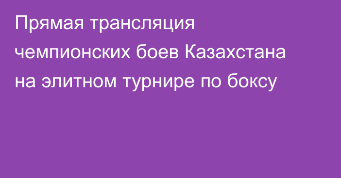 Прямая трансляция чемпионских боев Казахстана на элитном турнире по боксу