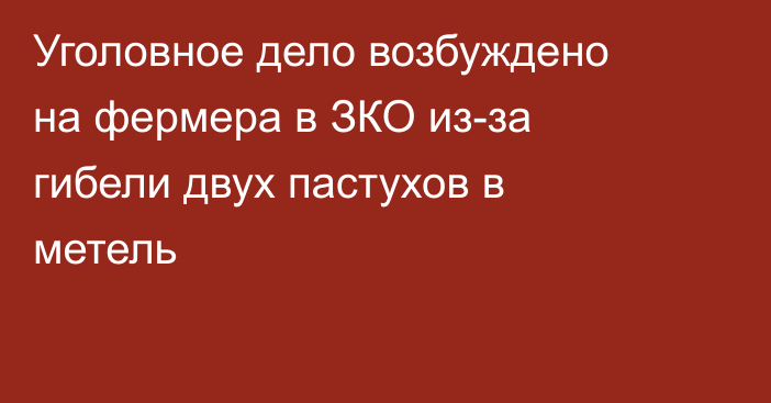 Уголовное дело возбуждено на фермера в ЗКО из-за гибели двух пастухов в метель