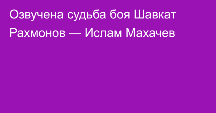 Озвучена судьба боя Шавкат Рахмонов — Ислам Махачев
