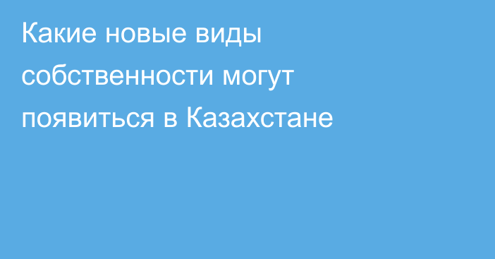 Какие новые виды собственности могут появиться в Казахстане