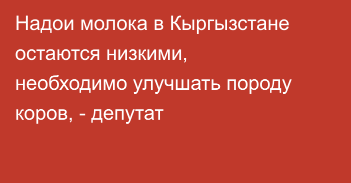Надои молока в Кыргызстане остаются низкими, необходимо улучшать породу коров, - депутат