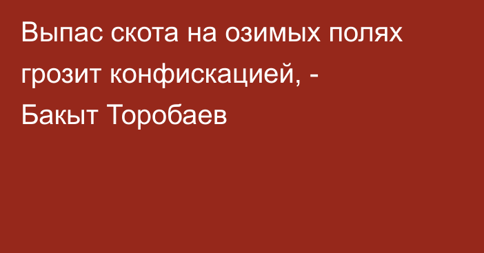 Выпас скота на озимых полях грозит конфискацией, - Бакыт Торобаев