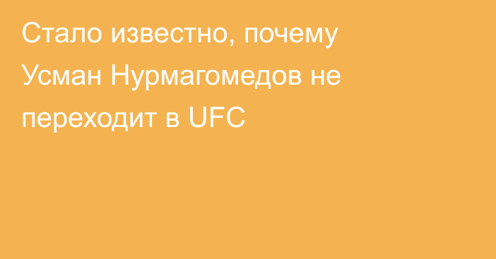 Стало известно, почему Усман Нурмагомедов не переходит в UFC