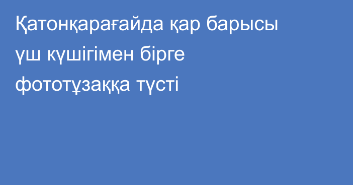 Қатонқарағайда қар барысы үш күшігімен бірге фототұзаққа түсті