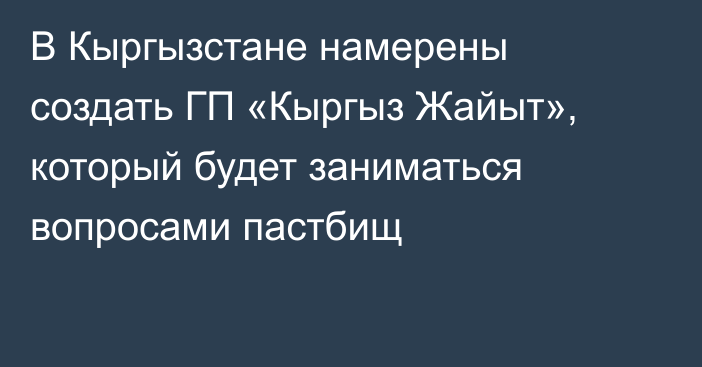 В Кыргызстане намерены создать ГП «Кыргыз Жайыт», который будет заниматься вопросами пастбищ