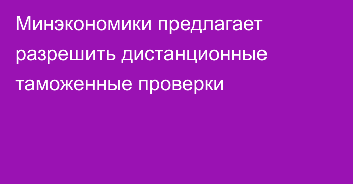Минэкономики предлагает разрешить дистанционные таможенные проверки
