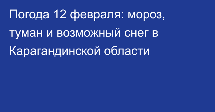 Погода 12 февраля: мороз, туман и возможный снег в Карагандинской области