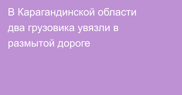 В Карагандинской области два грузовика увязли в размытой дороге