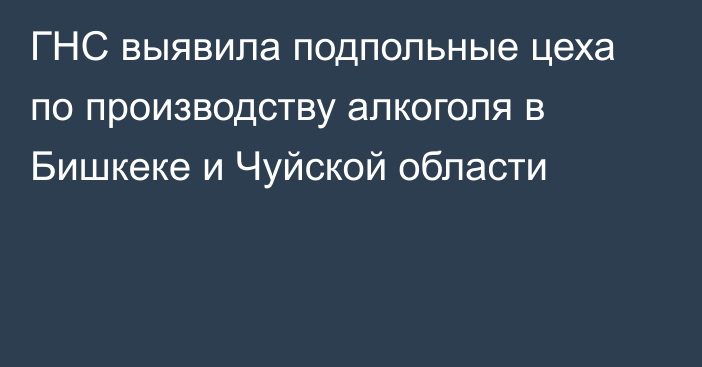 ГНС выявила подпольные цеха по производству алкоголя в Бишкеке и Чуйской области