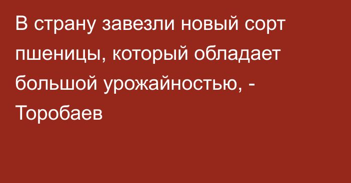 В страну завезли новый сорт пшеницы, который обладает большой урожайностью, - Торобаев