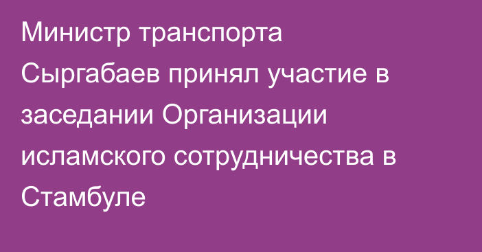 Министр транспорта Сыргабаев принял участие в заседании Организации исламского сотрудничества в Стамбуле