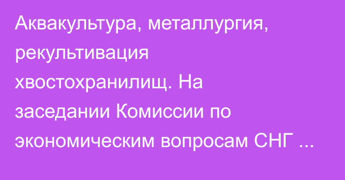 Аквакультура, металлургия, рекультивация хвостохранилищ. На заседании Комиссии по экономическим вопросам СНГ рассмотрят 14 вопросов