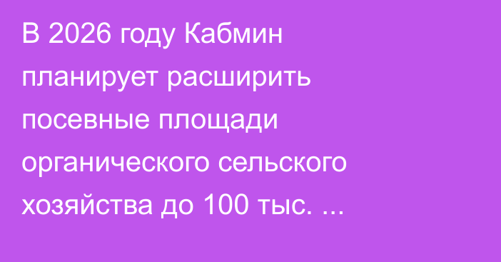 В 2026 году Кабмин планирует расширить посевные площади органического сельского хозяйства до 100 тыс. гектаров