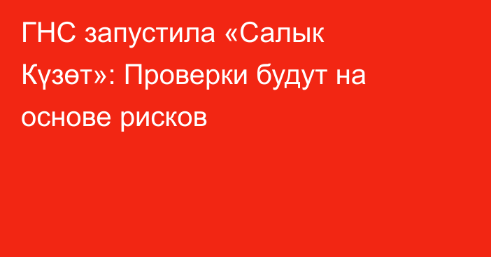 ГНС запустила «Салык Күзөт»: Проверки будут на основе рисков