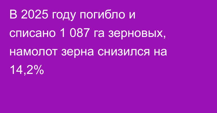 В 2025 году погибло и списано 1 087 га зерновых, намолот зерна снизился на 14,2%