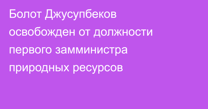 Болот Джусупбеков освобожден от должности первого замминистра природных ресурсов