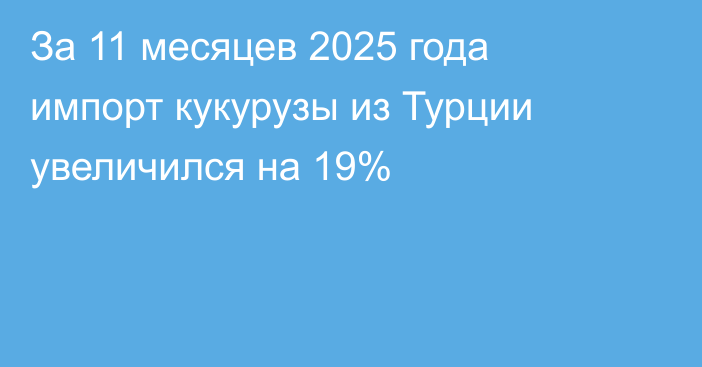 За 11 месяцев 2025 года импорт кукурузы из Турции увеличился на 19%
