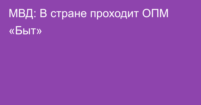 МВД: В стране проходит ОПМ «Быт»