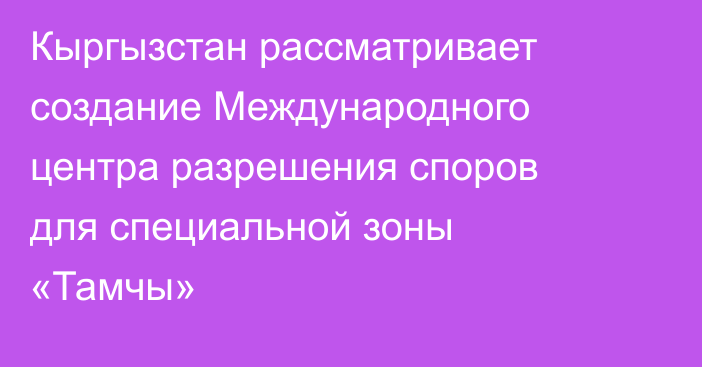 Кыргызстан рассматривает создание Международного центра разрешения споров для специальной зоны «Тамчы»