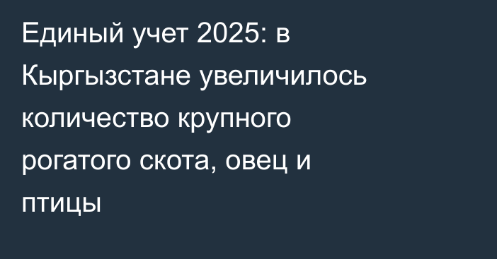 Единый учет 2025: в Кыргызстане увеличилось количество крупного рогатого скота, овец и птицы