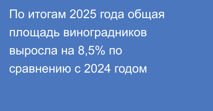 По итогам 2025 года общая площадь виноградников выросла на 8,5% по сравнению с 2024 годом