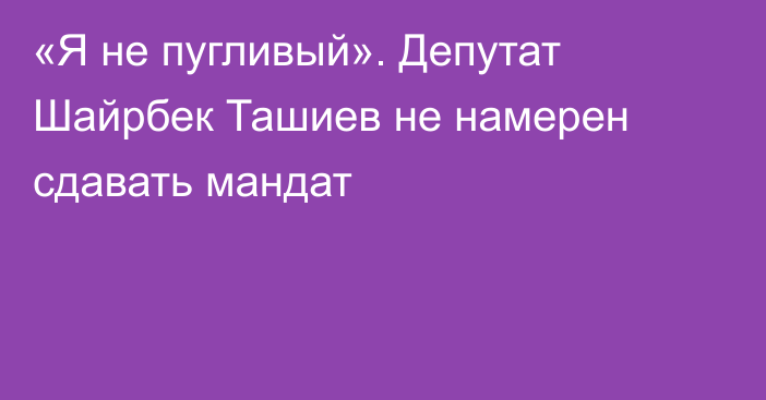 «Я не пугливый». Депутат Шайрбек Ташиев не намерен сдавать мандат