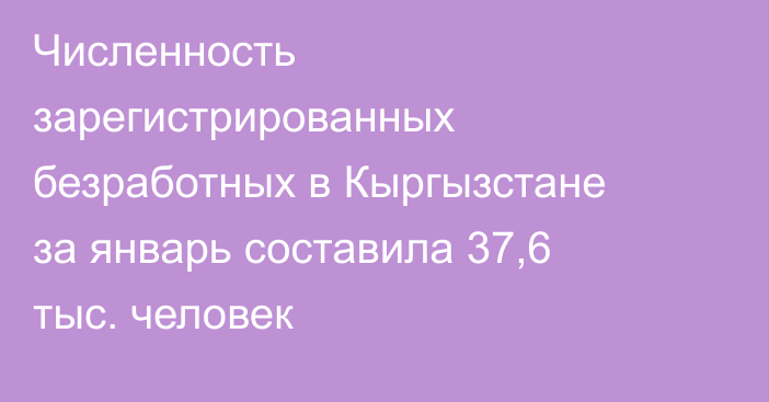 Численность зарегистрированных безработных в Кыргызстане за январь составила 37,6 тыс. человек