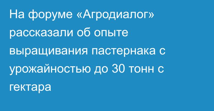 На форуме «Агродиалог» рассказали об опыте выращивания пастернака с урожайностью до 30 тонн с гектара