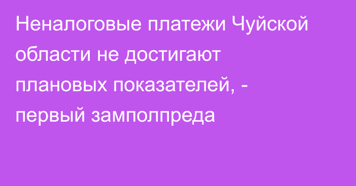 Неналоговые платежи Чуйской области не достигают плановых показателей, - первый замполпреда 