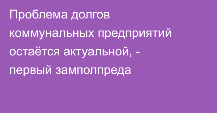 Проблема долгов коммунальных предприятий остаётся актуальной, - первый замполпреда 