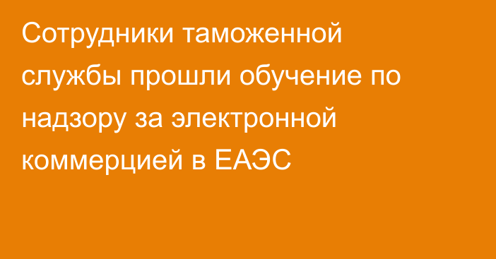 Сотрудники таможенной службы прошли обучение по надзору за электронной коммерцией в ЕАЭС