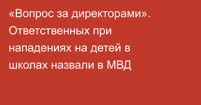 «Вопрос за директорами». Ответственных при нападениях на детей в школах назвали в МВД
